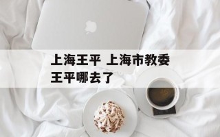 上海王平 上海市教委王平哪去了