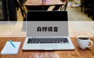 白桦读音