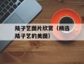陆子艺图片欣赏（精选陆子艺的美图）