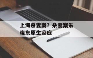 上海杀妻案？杀妻案朱晓东原生家庭