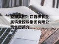 望潮集团？江西稀有金属钨业控股集团有限公司集团简介