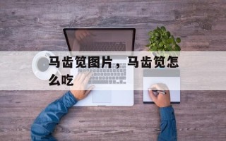 马齿笕图片，马齿笕怎么吃