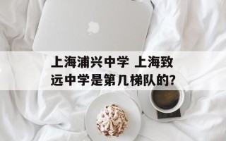 上海浦兴中学 上海致远中学是第几梯队的？