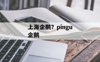 上海企鹅？pingu企鹅