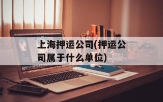 上海押运公司(押运公司属于什么单位)