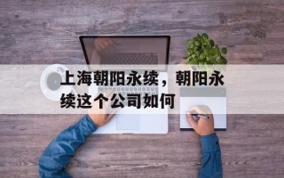 上海朝阳永续，朝阳永续这个公司如何