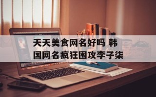 天天美食网名好吗 韩国网名疯狂围攻李子柒