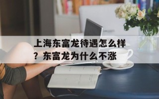 上海东富龙待遇怎么样？东富龙为什么不涨