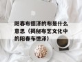 阳春布德泽的布是什么意思（揭秘布艺文化中的阳春布德泽）