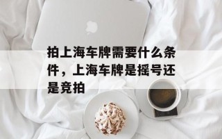 拍上海车牌需要什么条件，上海车牌是摇号还是竞拍