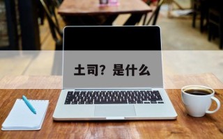 土司？是什么