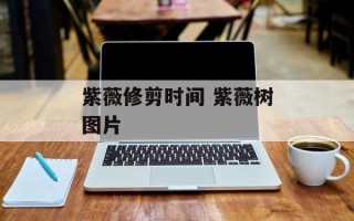 紫薇修剪时间 紫薇树图片
