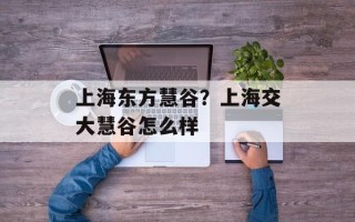 上海东方慧谷？上海交大慧谷怎么样
