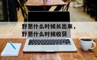 野葱什么时候长出来，野葱什么时候收获