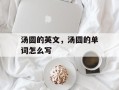 汤圆的英文，汤圆的单词怎么写