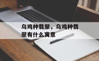 乌鸡种翡翠，乌鸡种翡翠有什么寓意