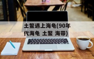 土鳖遇上海龟(90年代海龟 土鳖 海带)