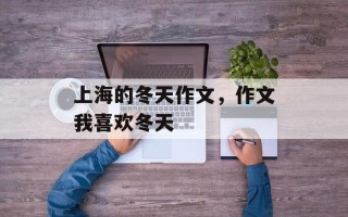 上海的冬天作文，作文我喜欢冬天