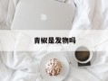 青椒是发物吗