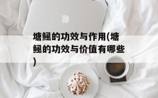 塘鲺的功效与作用(塘鲺的功效与价值有哪些)