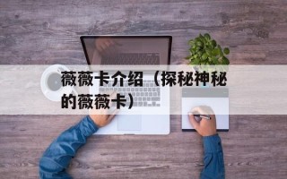 薇薇卡介绍（探秘神秘的薇薇卡）