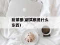 甜菜根(甜菜根是什么东西)