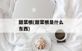 甜菜根(甜菜根是什么东西)