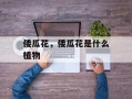 倭瓜花，倭瓜花是什么植物