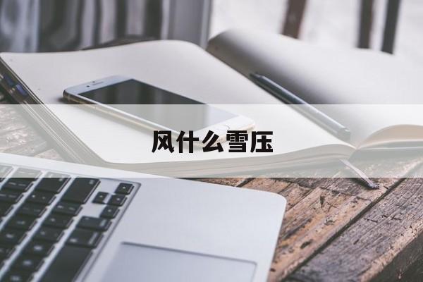 风什么雪压-第1张图片-