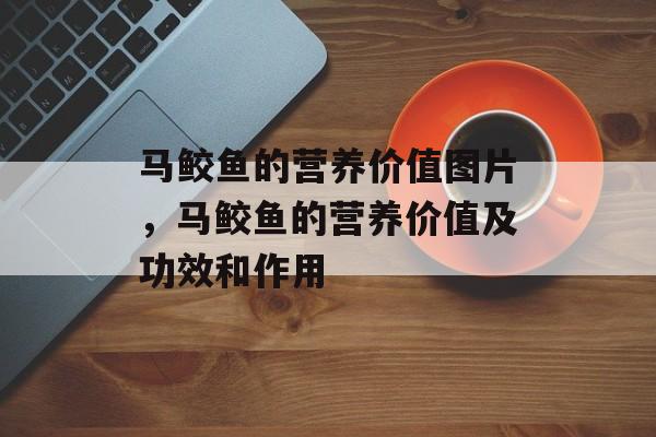马鲛鱼的营养价值图片，马鲛鱼的营养价值及功效和作用-第1张图片-