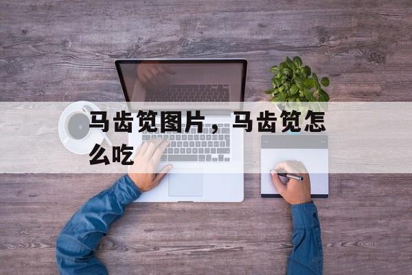 马齿笕图片，马齿笕怎么吃-第1张图片-