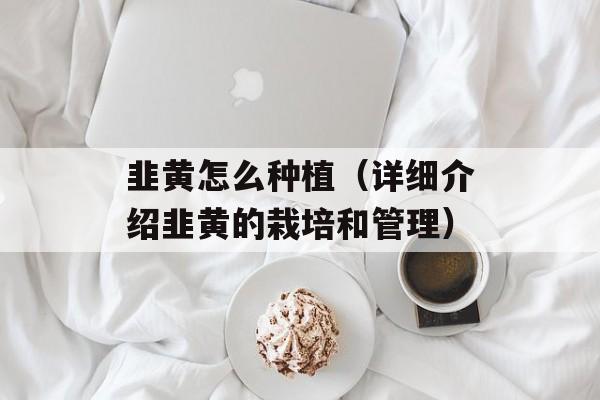 韭黄怎么种植（详细介绍韭黄的栽培和管理）-第1张图片-