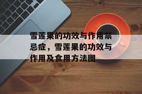 雪莲果的功效与作用禁忌症，雪莲果的功效与作用及食用方法图-第1张图片-