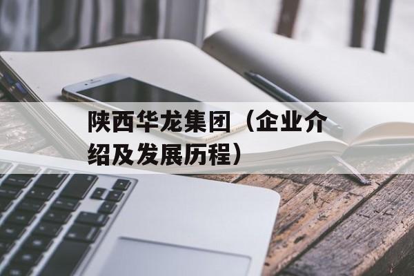 陕西华龙集团（企业介绍及发展历程）-第1张图片-