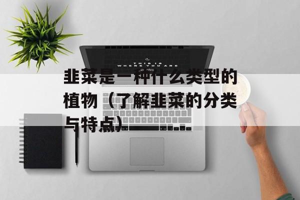 韭菜是一种什么类型的植物（了解韭菜的分类与特点）-第1张图片-