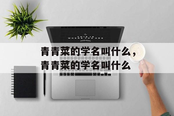 青青菜的学名叫什么，青青菜的学名叫什么-第1张图片-