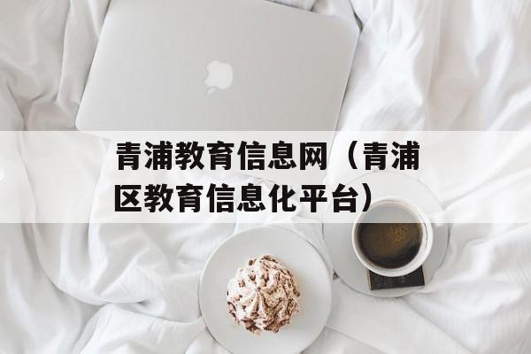 青浦教育信息网（青浦区教育信息化平台）-第1张图片-
