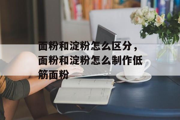 面粉和淀粉怎么区分，面粉和淀粉怎么制作低筋面粉-第1张图片-