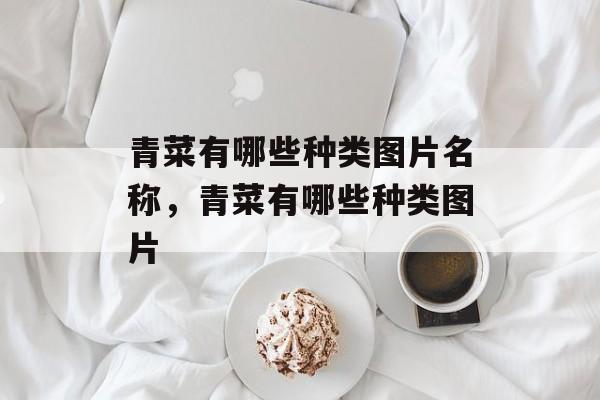 青菜有哪些种类图片名称，青菜有哪些种类图片-第1张图片-