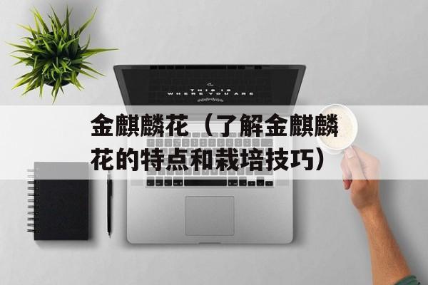 金麒麟花（了解金麒麟花的特点和栽培技巧）-第1张图片-
