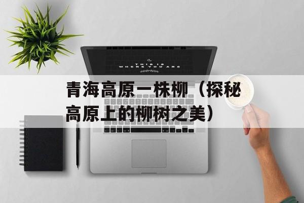 青海高原一株柳（探秘高原上的柳树之美）-第1张图片-