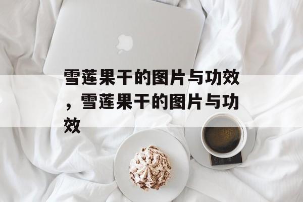 雪莲果干的图片与功效，雪莲果干的图片与功效-第1张图片-