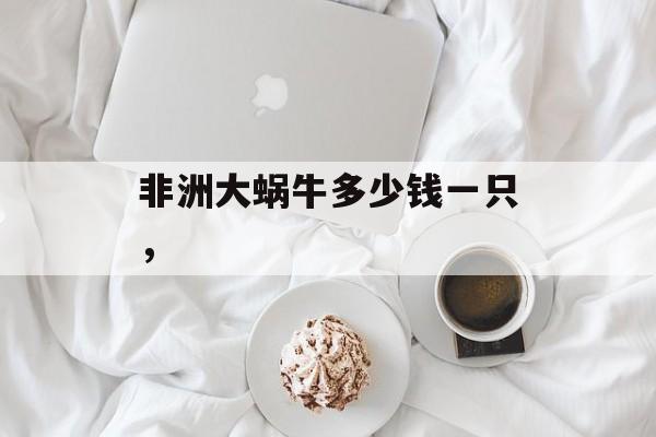 非洲大蜗牛多少钱一只，-第1张图片-