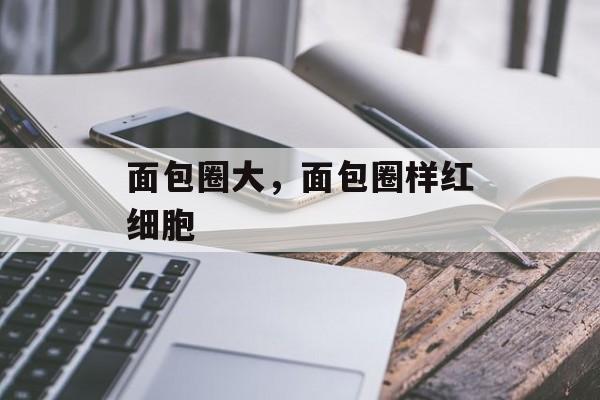 面包圈大，面包圈样红细胞-第1张图片-