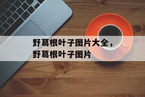 野葛根叶子图片大全，野葛根叶子图片-第1张图片-