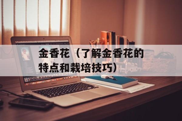 金香花（了解金香花的特点和栽培技巧）-第1张图片-