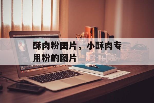 酥肉粉图片，小酥肉专用粉的图片-第1张图片-