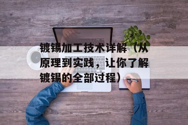 镀锡加工技术详解（从原理到实践，让你了解镀锡的全部过程）-第1张图片-