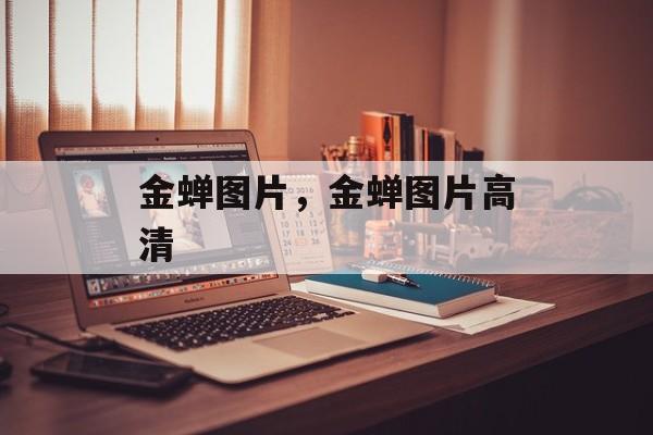 金蝉图片，金蝉图片高清-第1张图片-