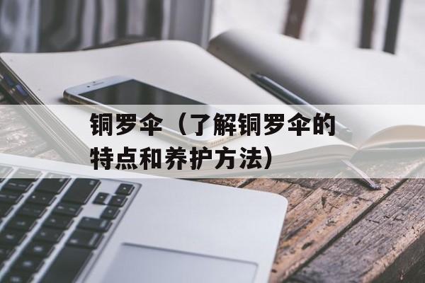 铜罗伞（了解铜罗伞的特点和养护方法）-第1张图片-